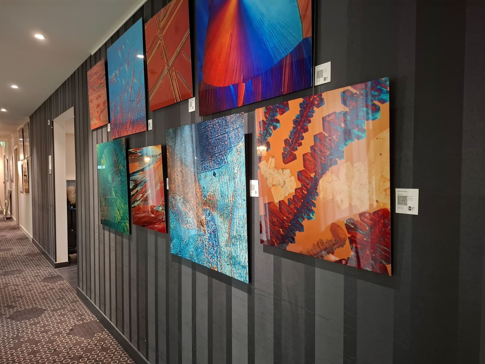 Jelte Prins @ Novotel Schiphol Airport hotel 1