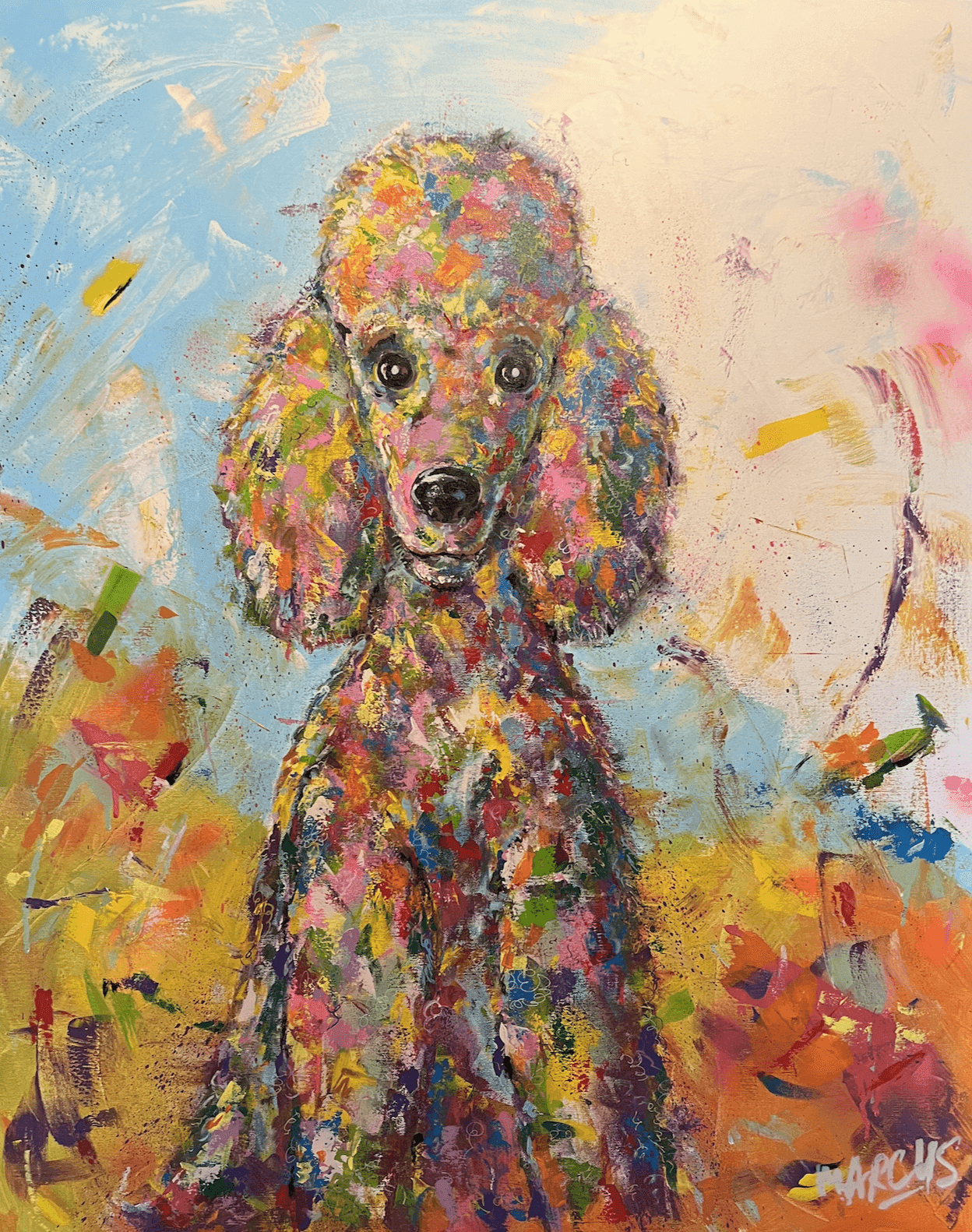 Poedel Puppy